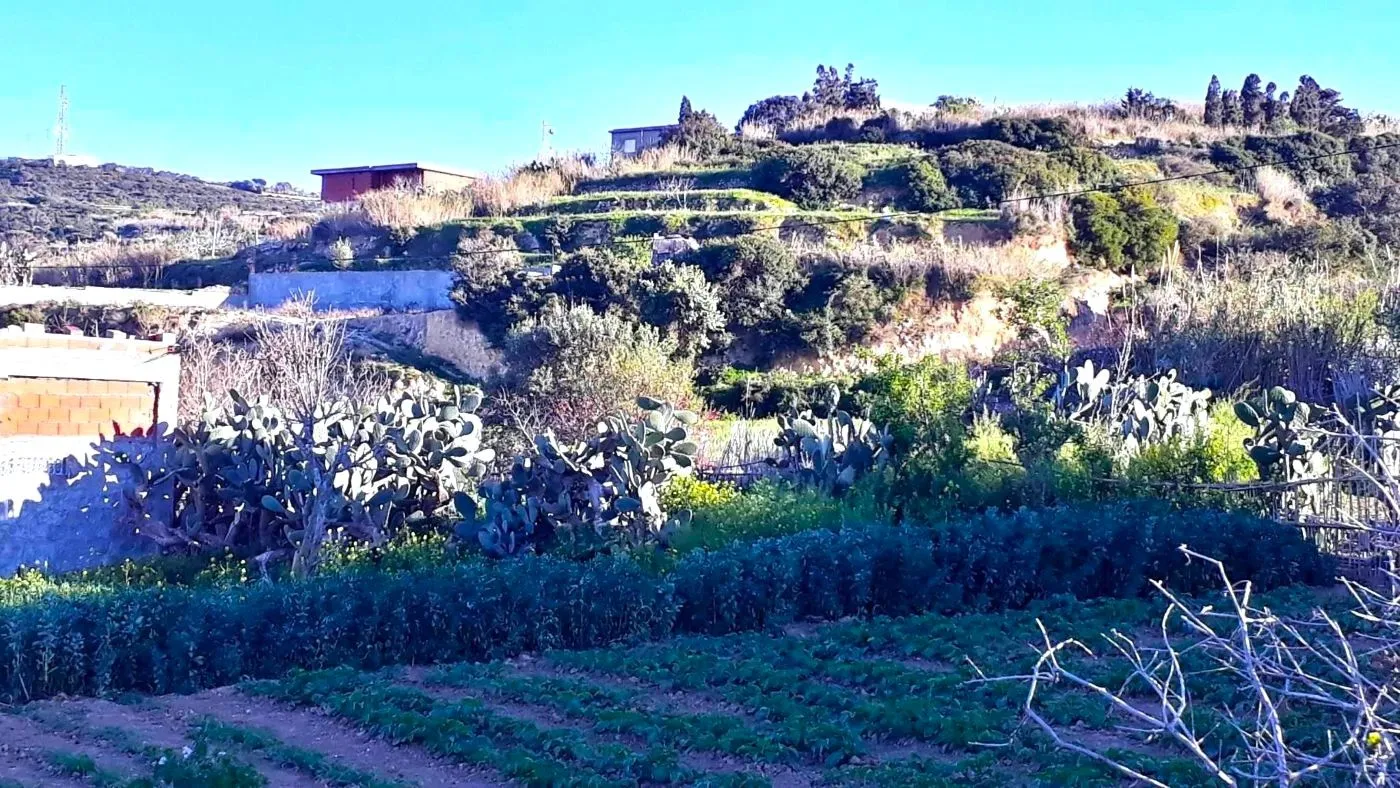 ⛰️ Terrain 1500 m2 a Rafraf 🖼