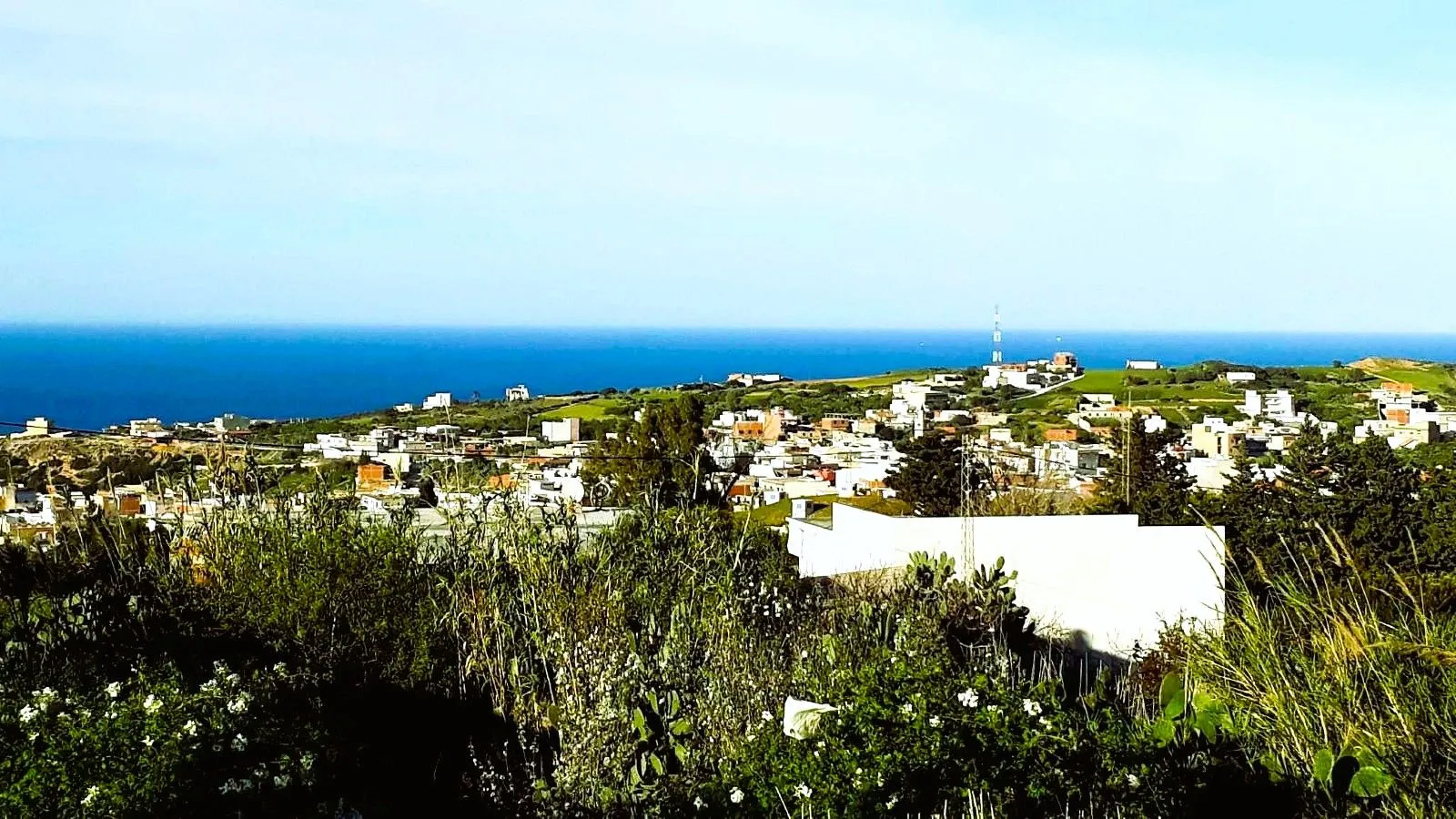 ⛰️ Terrain 1500 m2 a Rafraf 🖼