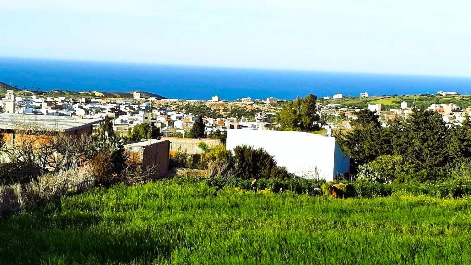 ⛰️ Terrain 1500 m2 a Rafraf 🖼