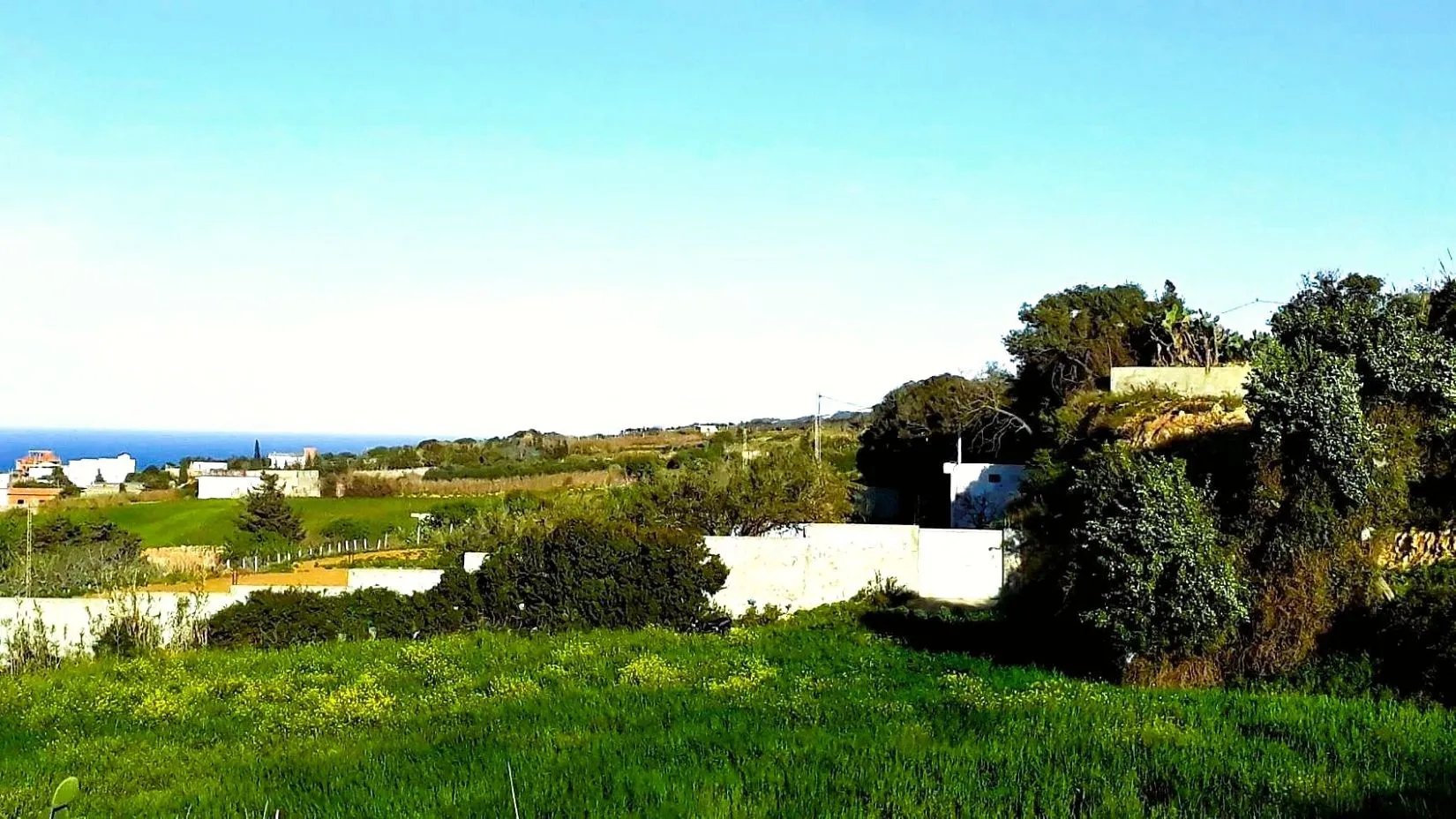 ⛰️ Terrain 1500 m2 a Rafraf 🖼