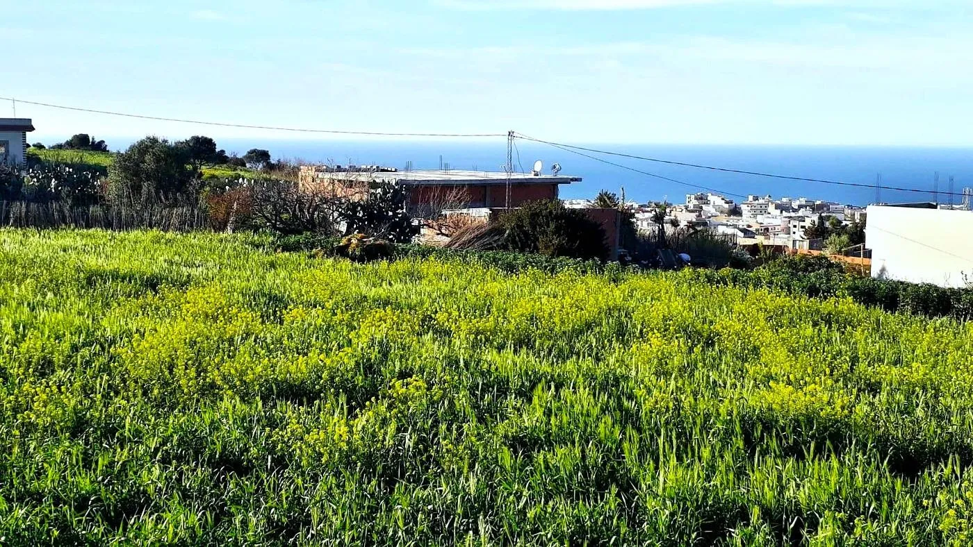 ⛰️ Terrain 1500 m2 a Rafraf 🖼