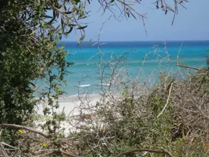 Une offre d'investissement intéressante