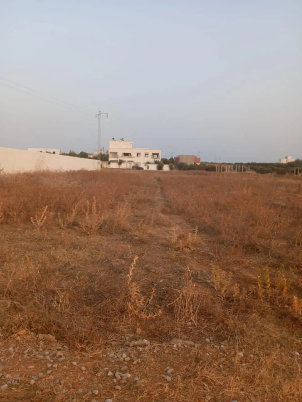 AV terrain 1000m à monchar hammamet sud 99958728
