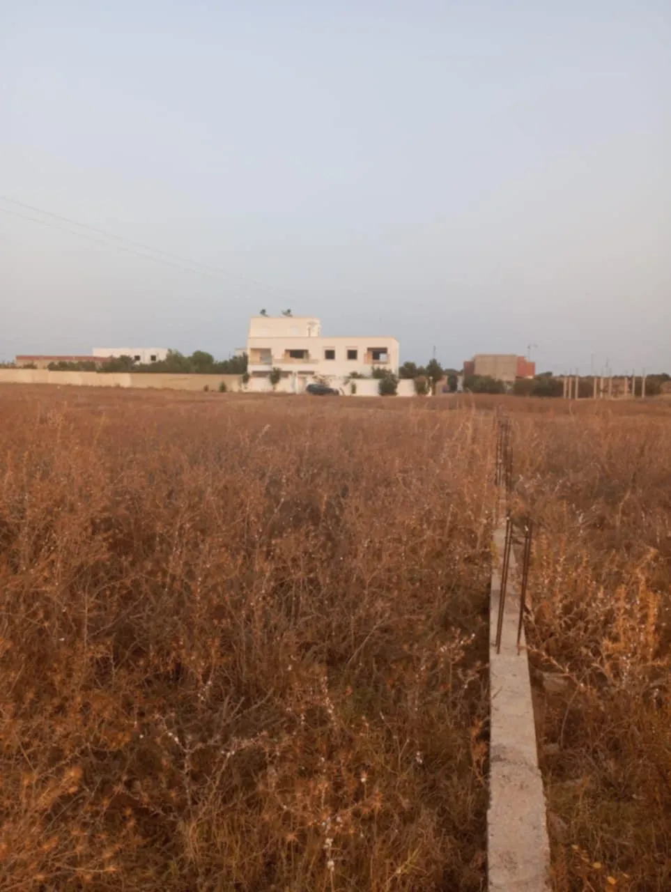 AV terrain 1000m à monchar hammamet sud 99958728