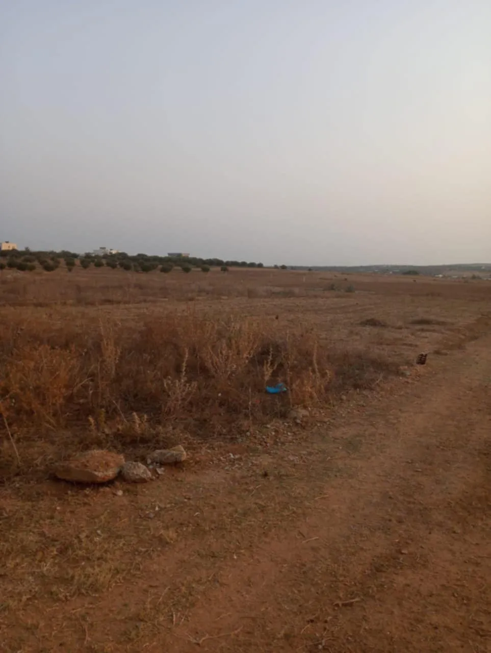 AV terrain 1000m à monchar hammamet sud 99958728