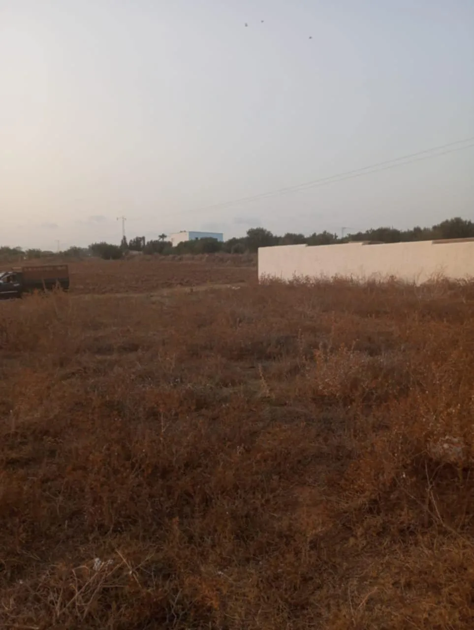 AV terrain 1000m à monchar hammamet sud 99958728