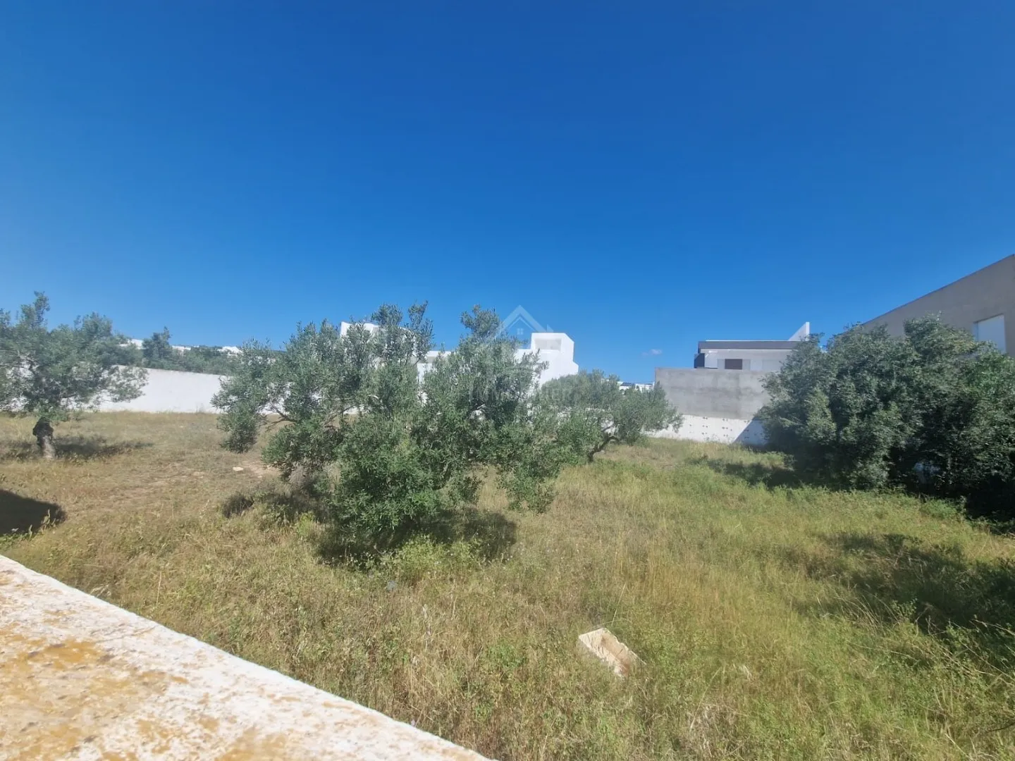 Superbe terrain de 1000 m² à Mrezga à vendre 51355351