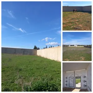 Forfait PRIX LARGEMENT NÉGOCIABLE Terrain entièrement clôturé à HAMMAMET de 8200m²