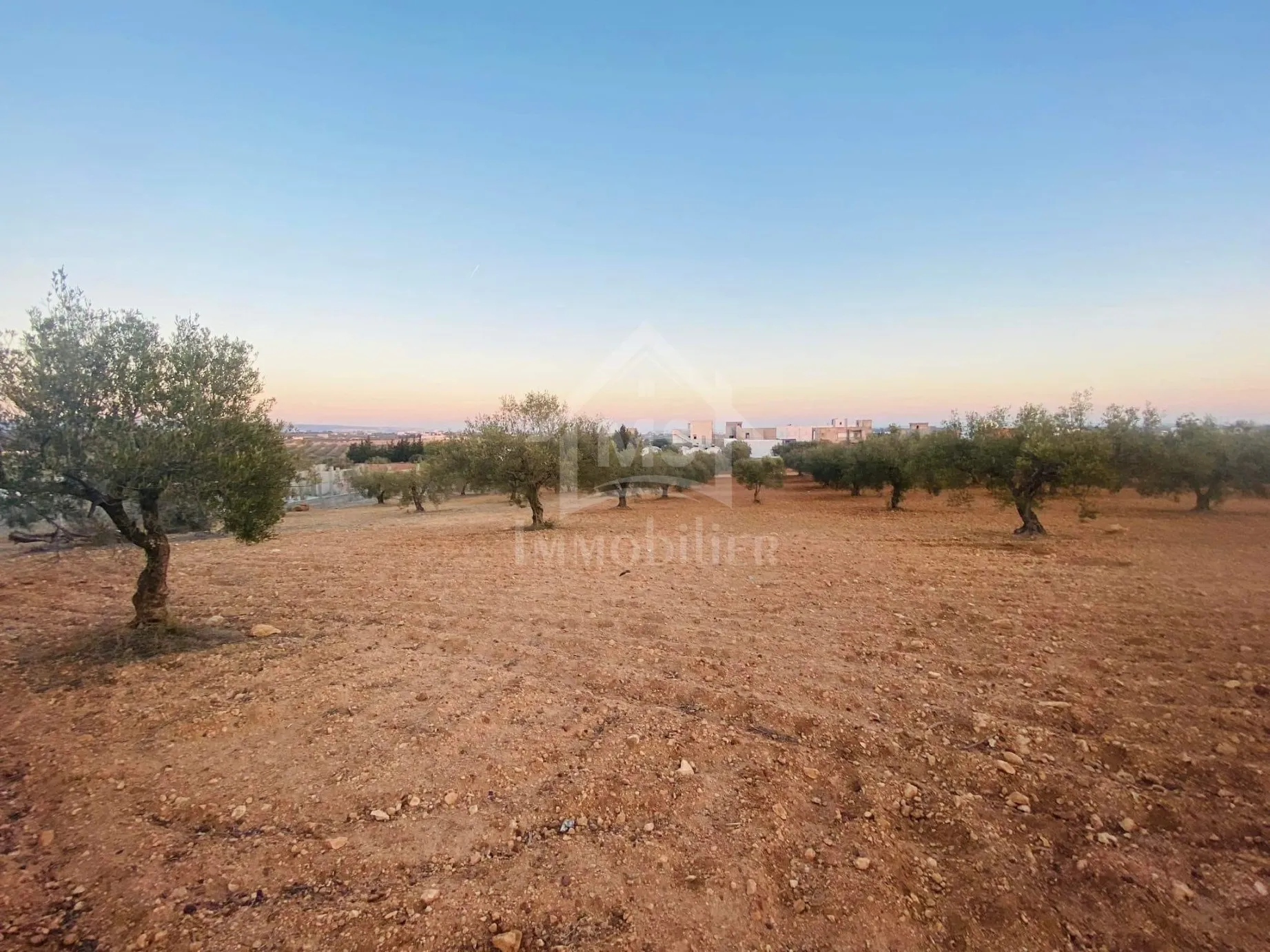 Terrain de 4018 m² à vendre à 200 dt/m² à Hammamet Sud