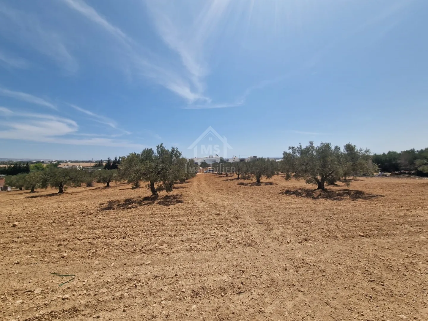 Terrain de 4018 m² à vendre à 200 dt/m² à Hammamet Sud