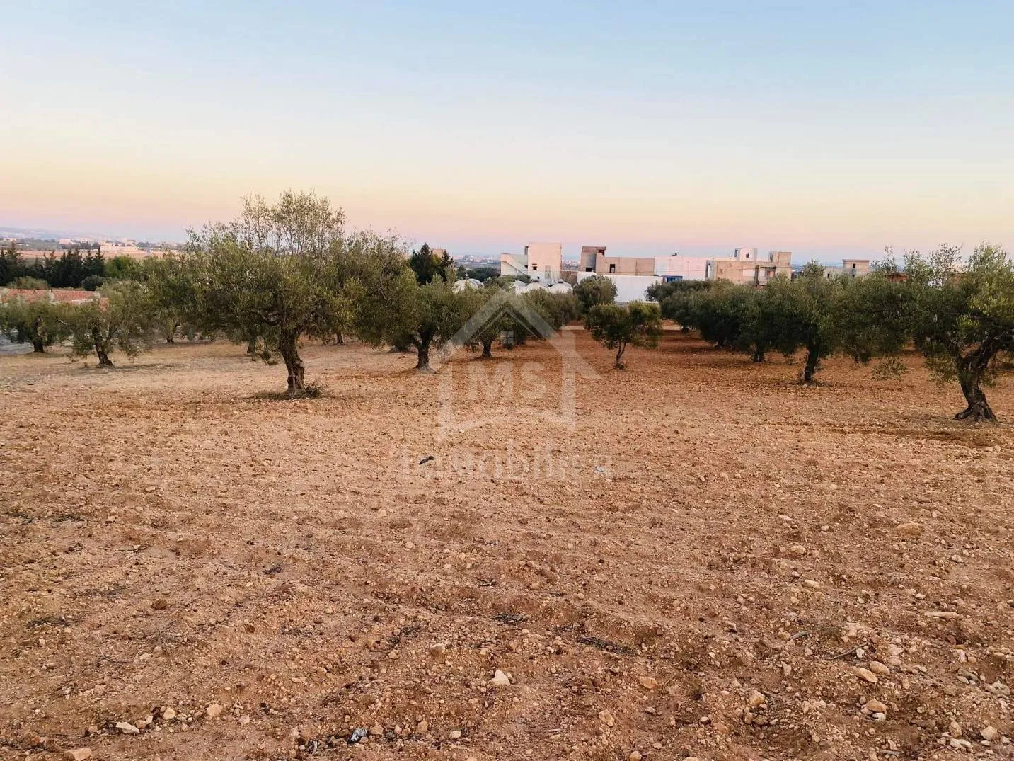 Terrain de 4018 m² à vendre à 200 dt/m² à Hammamet Sud