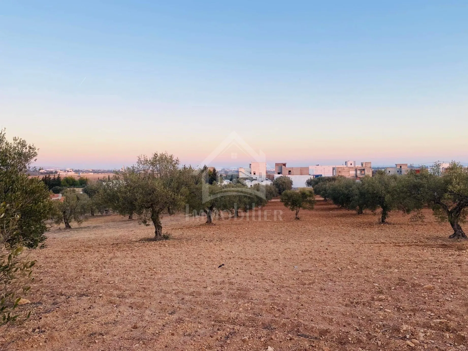 Terrain de 4018 m² à vendre à 200 dt/m² à Hammamet Sud