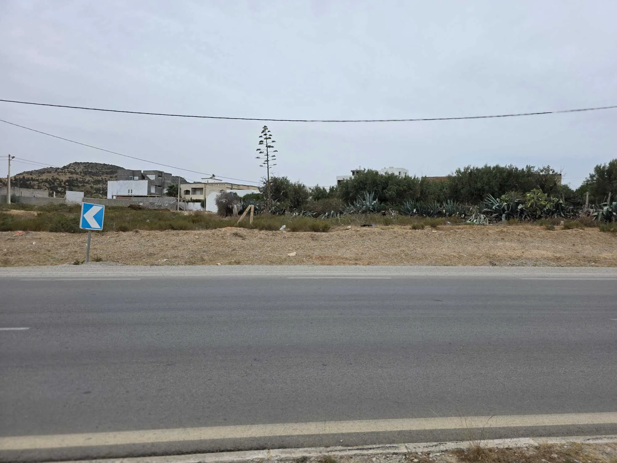 🏡 À VENDRE – Terrain exceptionnel avec vue mer à Nabeul Mrazgha 🌊