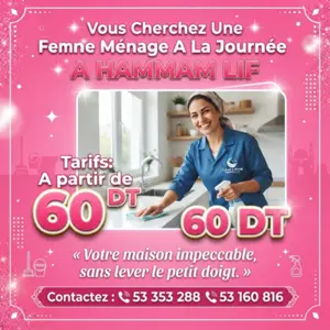femme de menage par jour a hammam lif