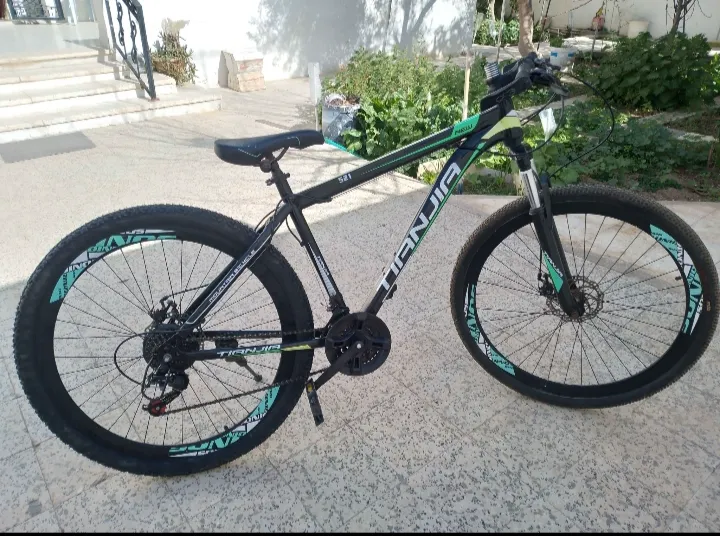 Vélo VTT 29 pouce taille L 