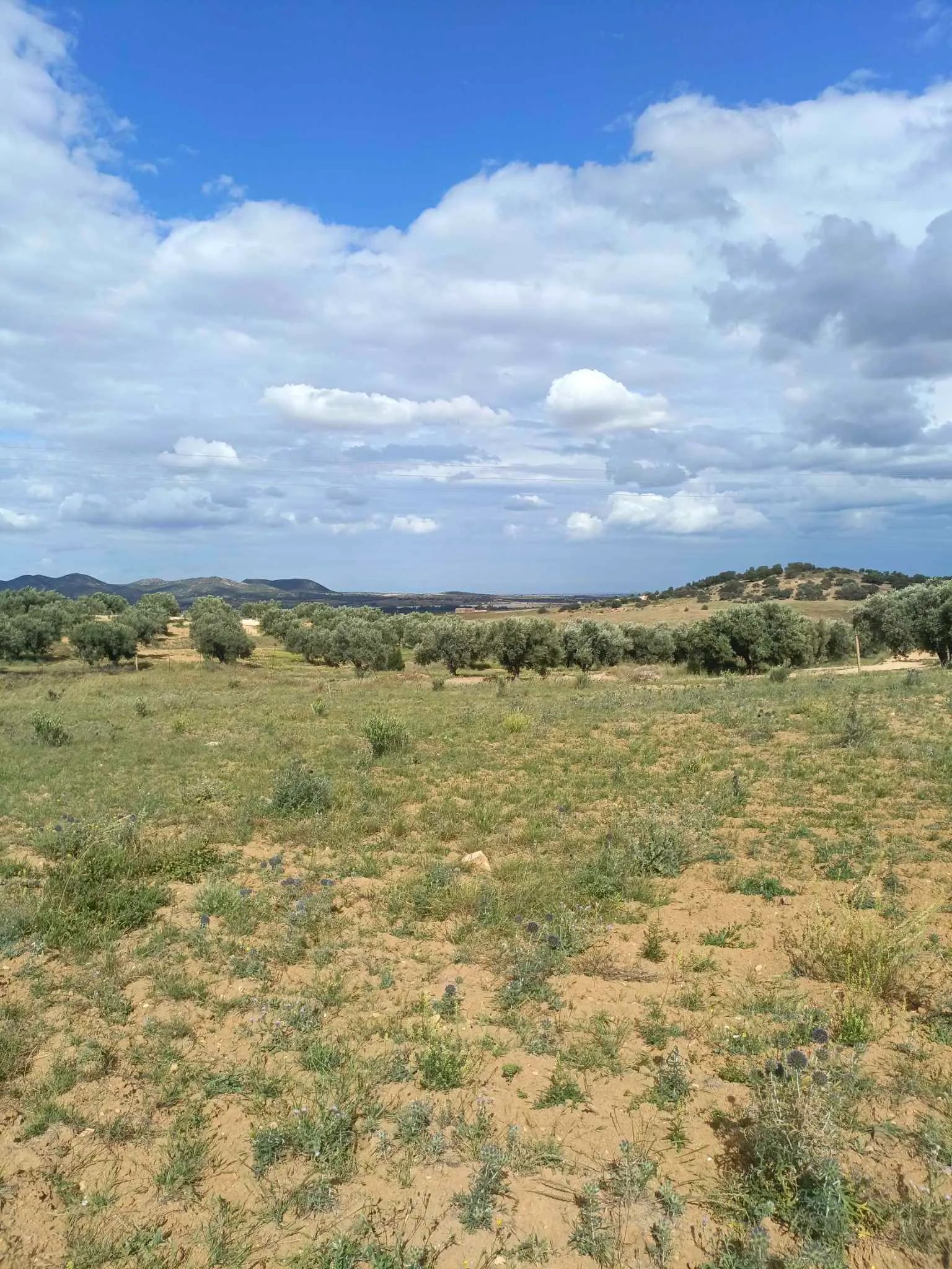 AV terrain de 4100m à zaghouan zriba 