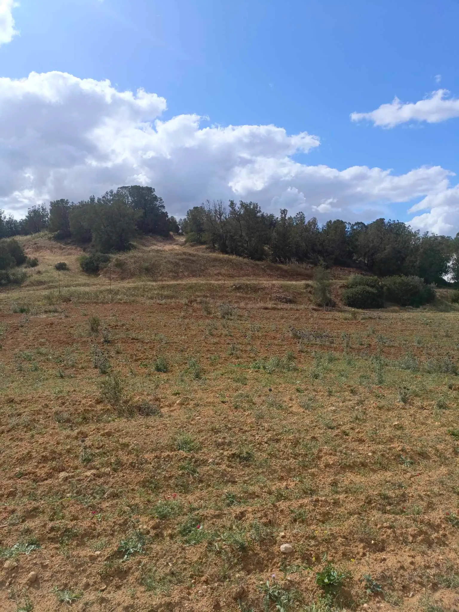 AV terrain de 4100m à zaghouan zriba 