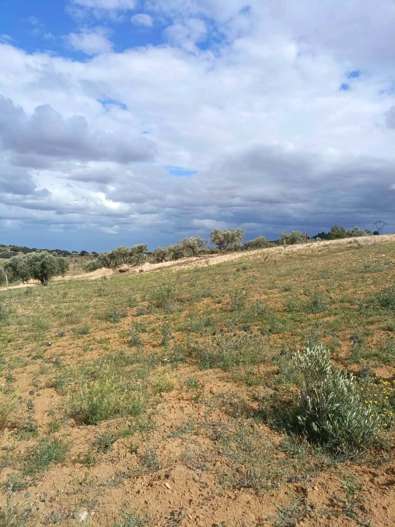 AV terrain de 4100m à zaghouan zriba 