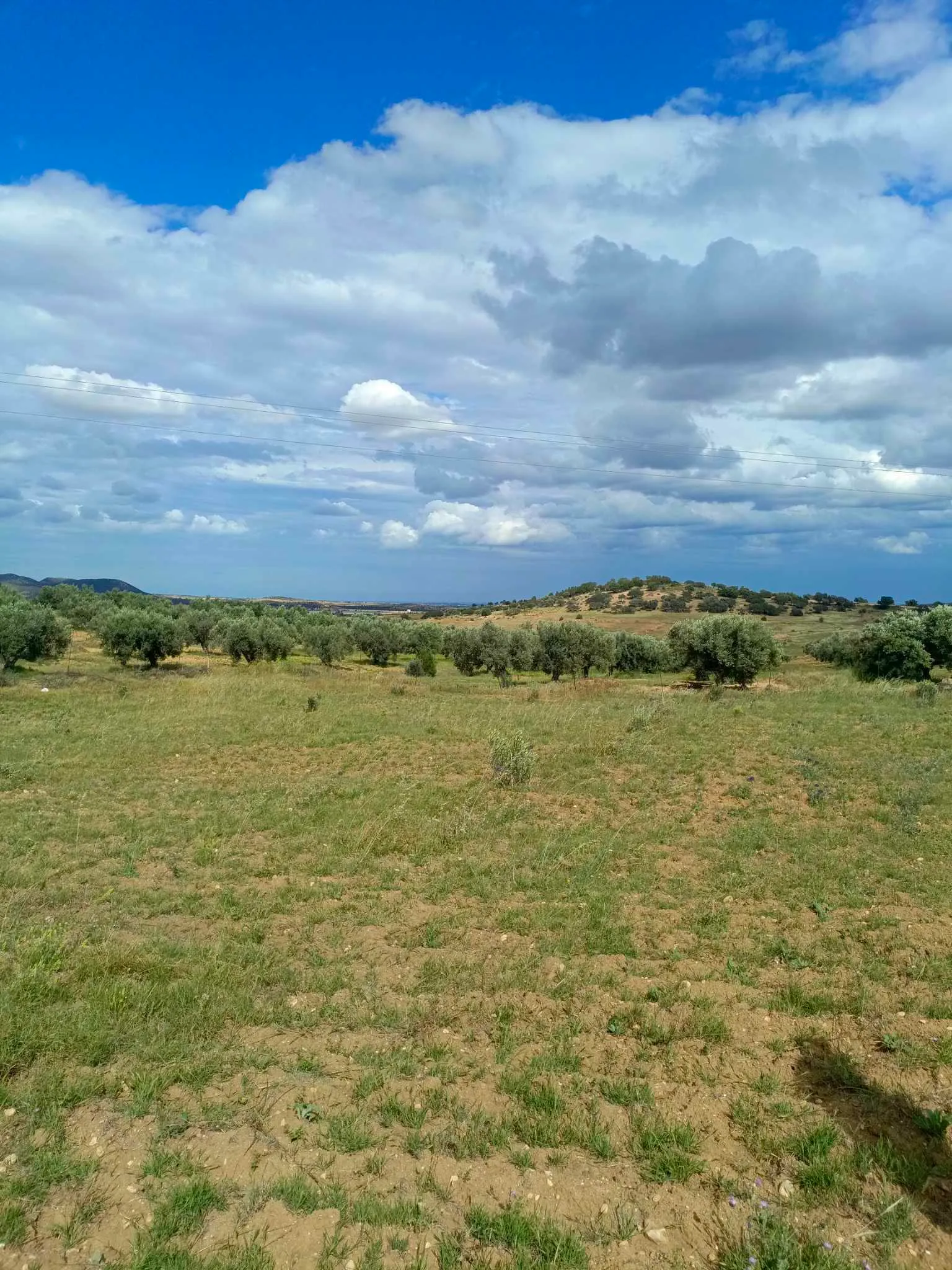 AV terrain de 4100m à zaghouan zriba 