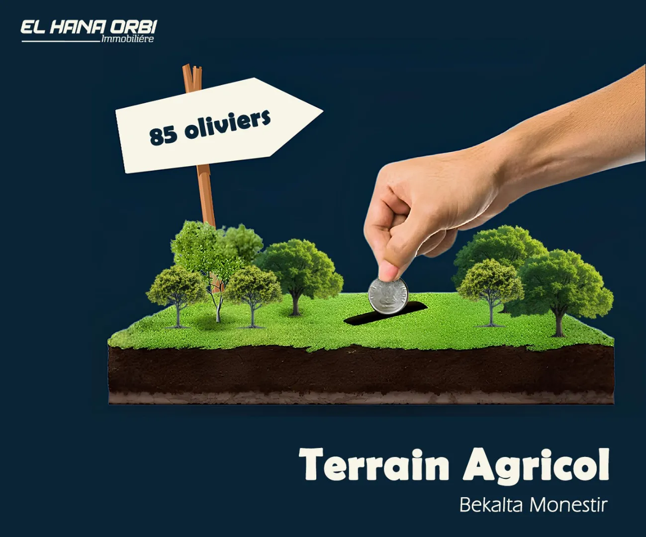 Terrain Agricole à Vendre à bekalta Monestir