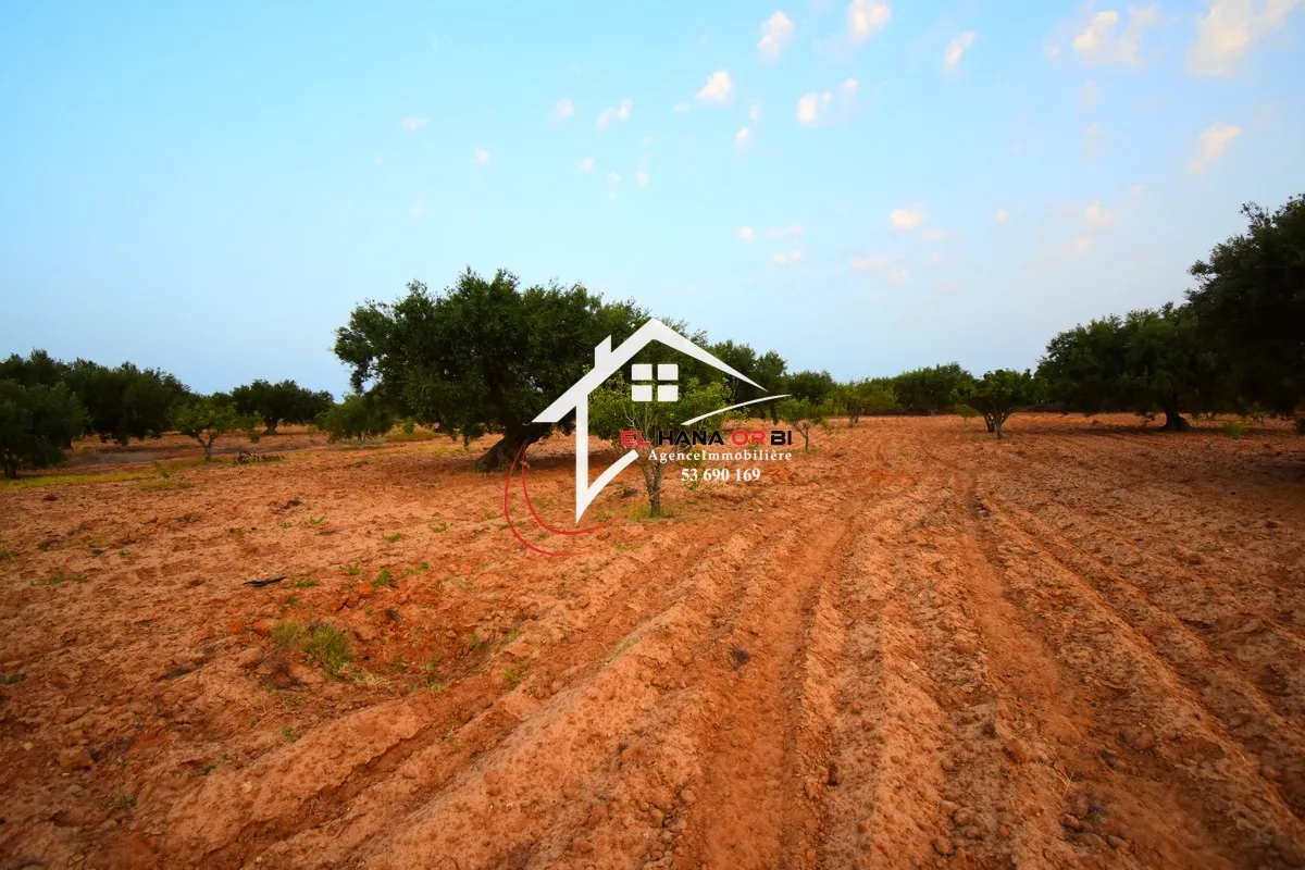 Terrain Agricole à Vendre à bekalta Monestir