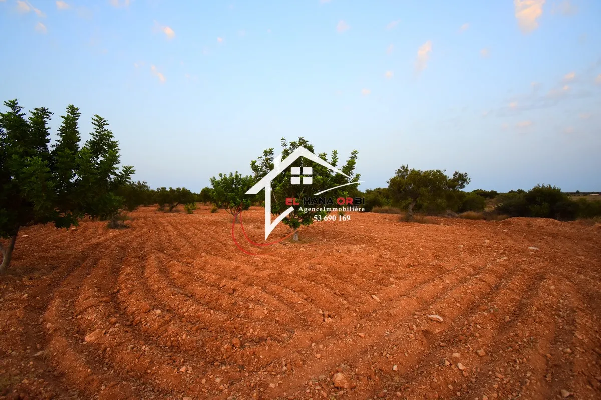 Terrain Agricole à Vendre à bekalta Monestir