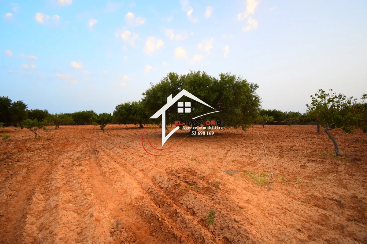 Terrain Agricole à Vendre à bekalta Monestir