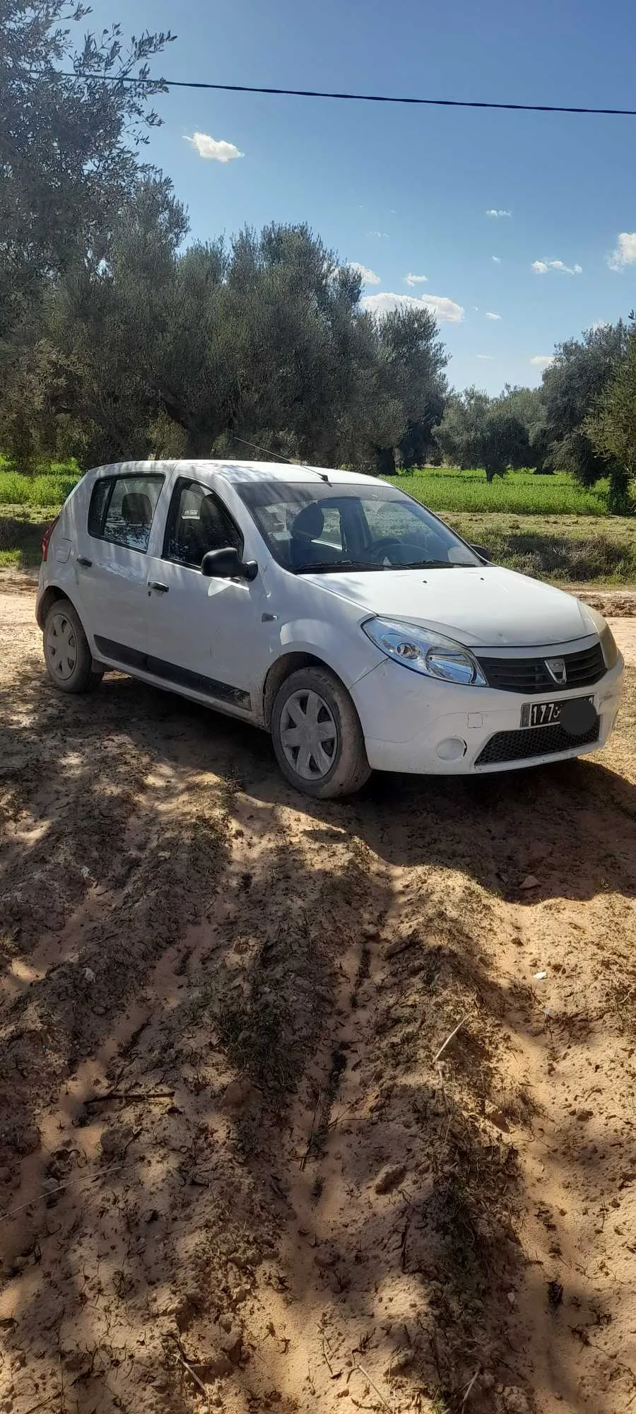 Dacia sandero model 2010