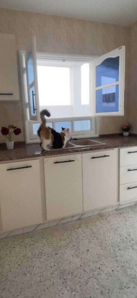 ✨ À VENDRE : RÉSIDENCE PRESTIGE DE 3 NIVEAUX AVEC JARDIN ✨
Style Américain | Vie Privée Totale 