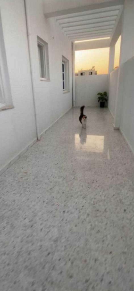 ✨ À VENDRE : RÉSIDENCE PRESTIGE DE 3 NIVEAUX AVEC JARDIN ✨
Style Américain | Vie Privée Totale 