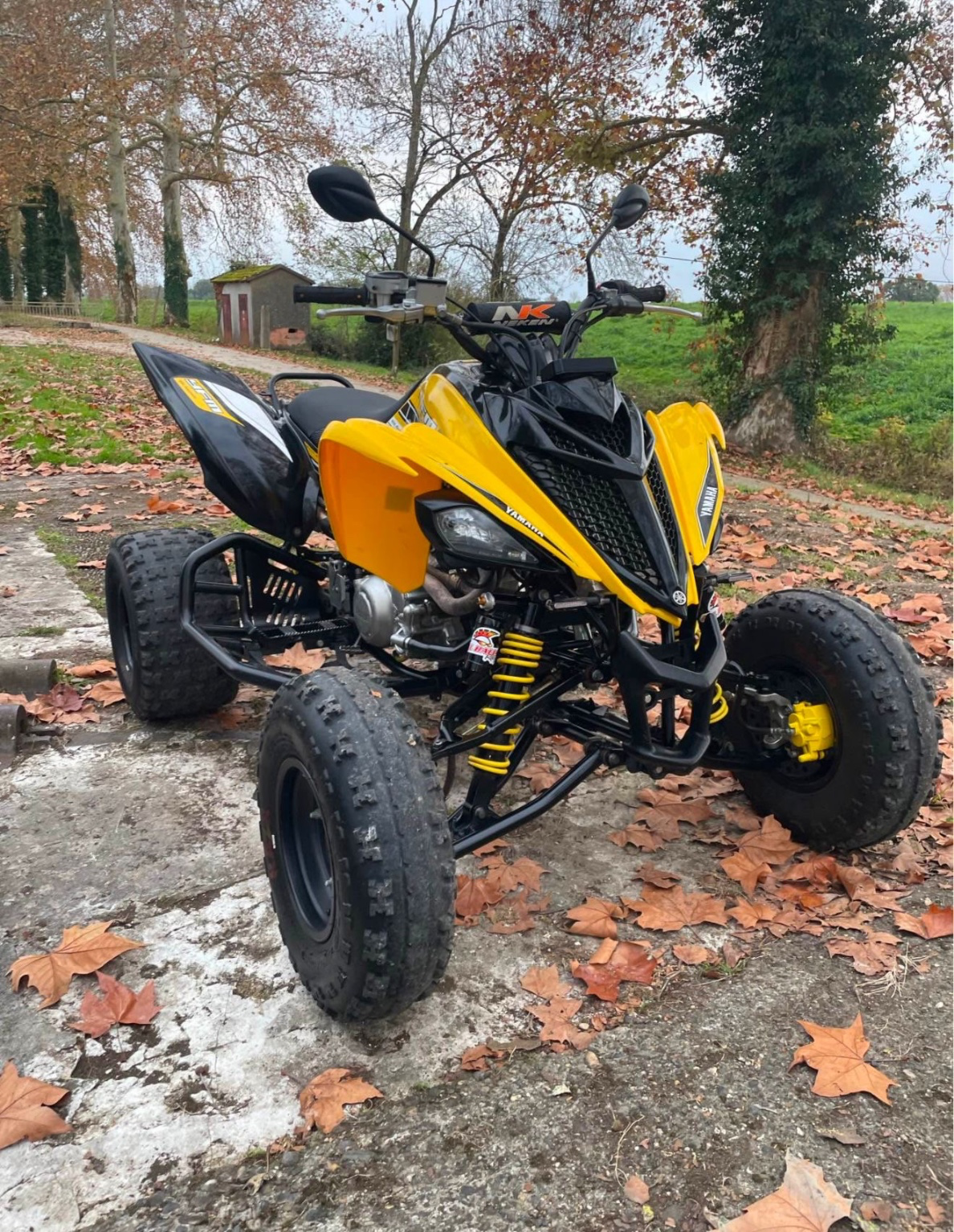 Yamaha Raptor 700r spécial edition 