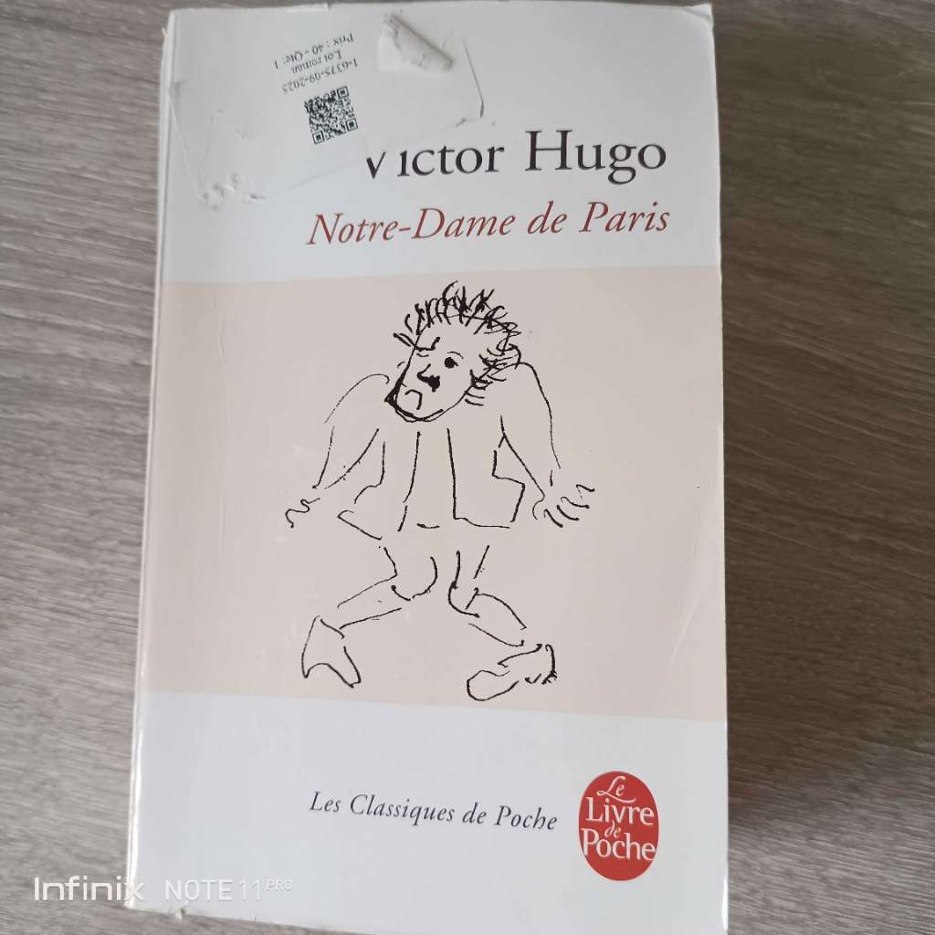 Lot de 8 livres romans et littérature française – Victor Hugo, Molière, Ken Follett et autres