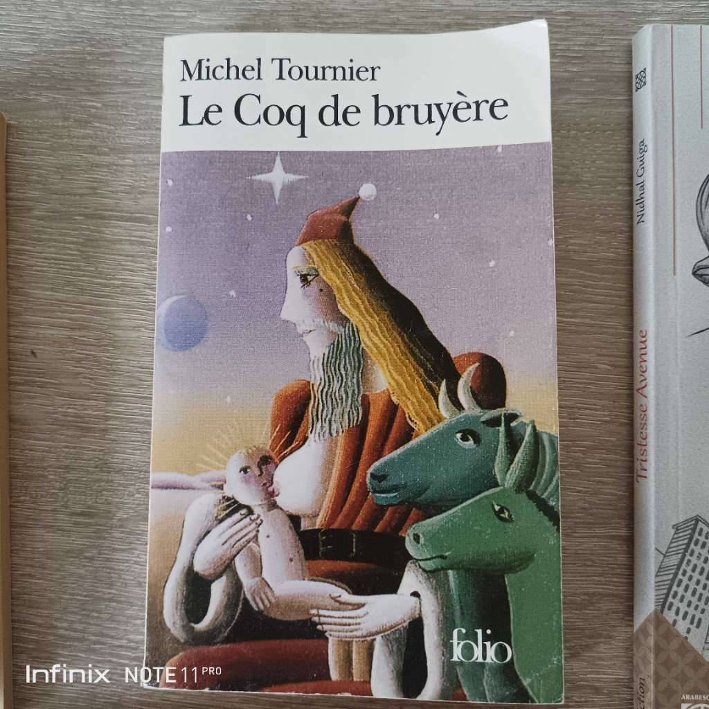 Lot de 8 livres romans et littérature française – Victor Hugo, Molière, Ken Follett et autres