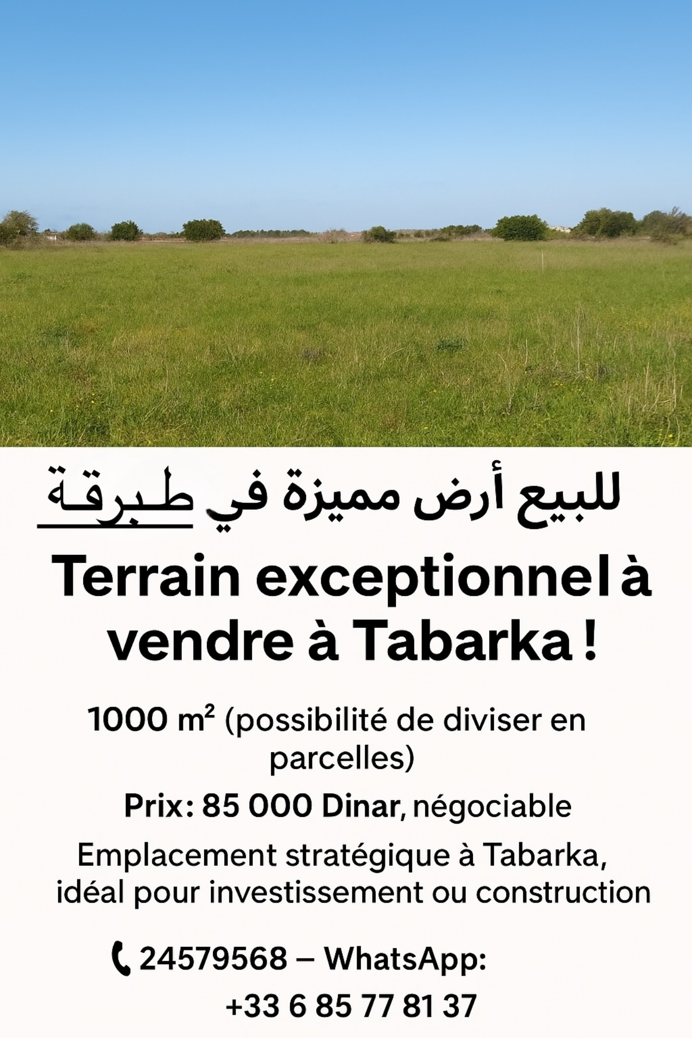 أرض للبيع في طبرقة – أولاد عمر العليا 