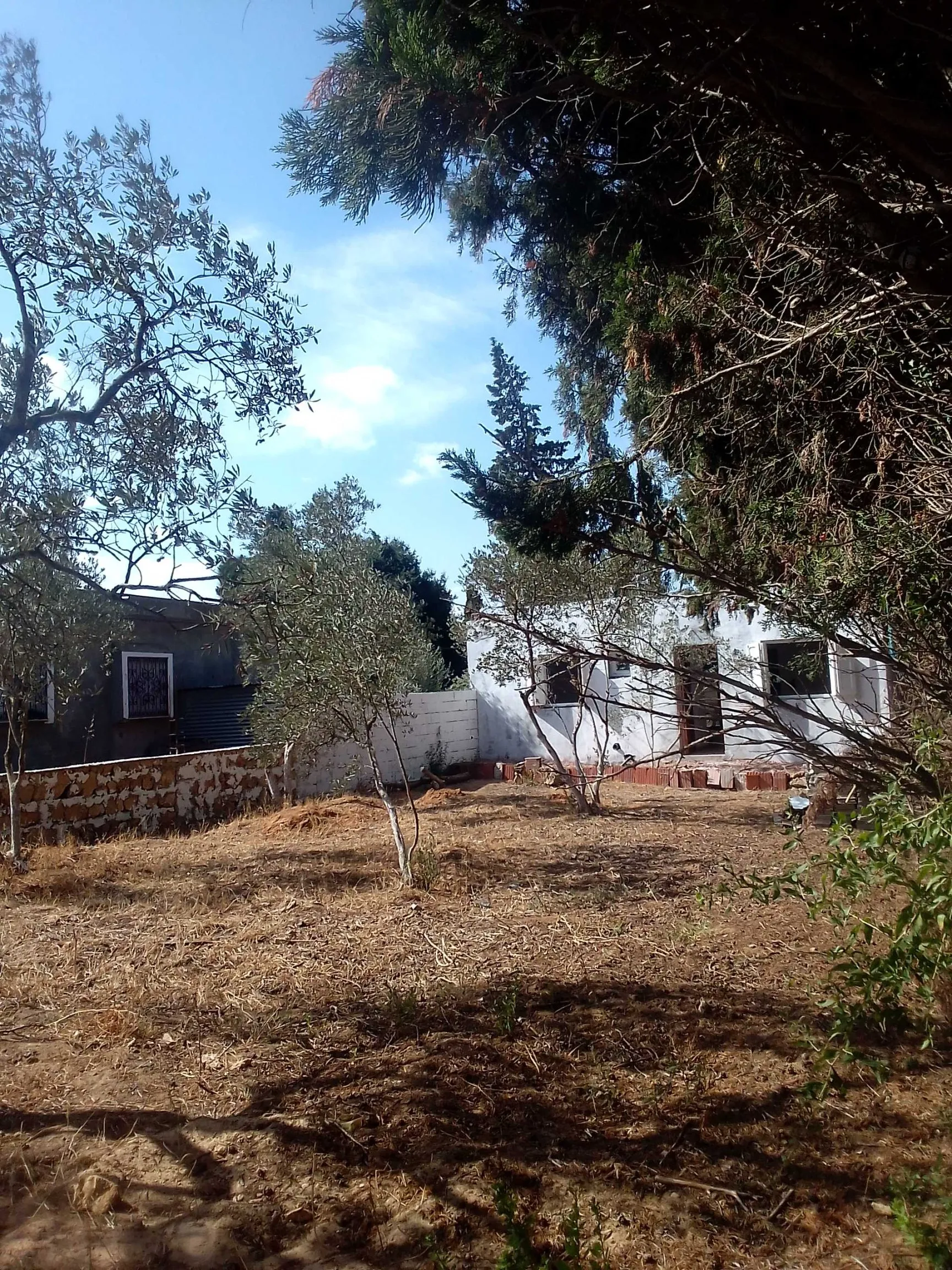 terrain 310 m 2 et maison route plage mami 