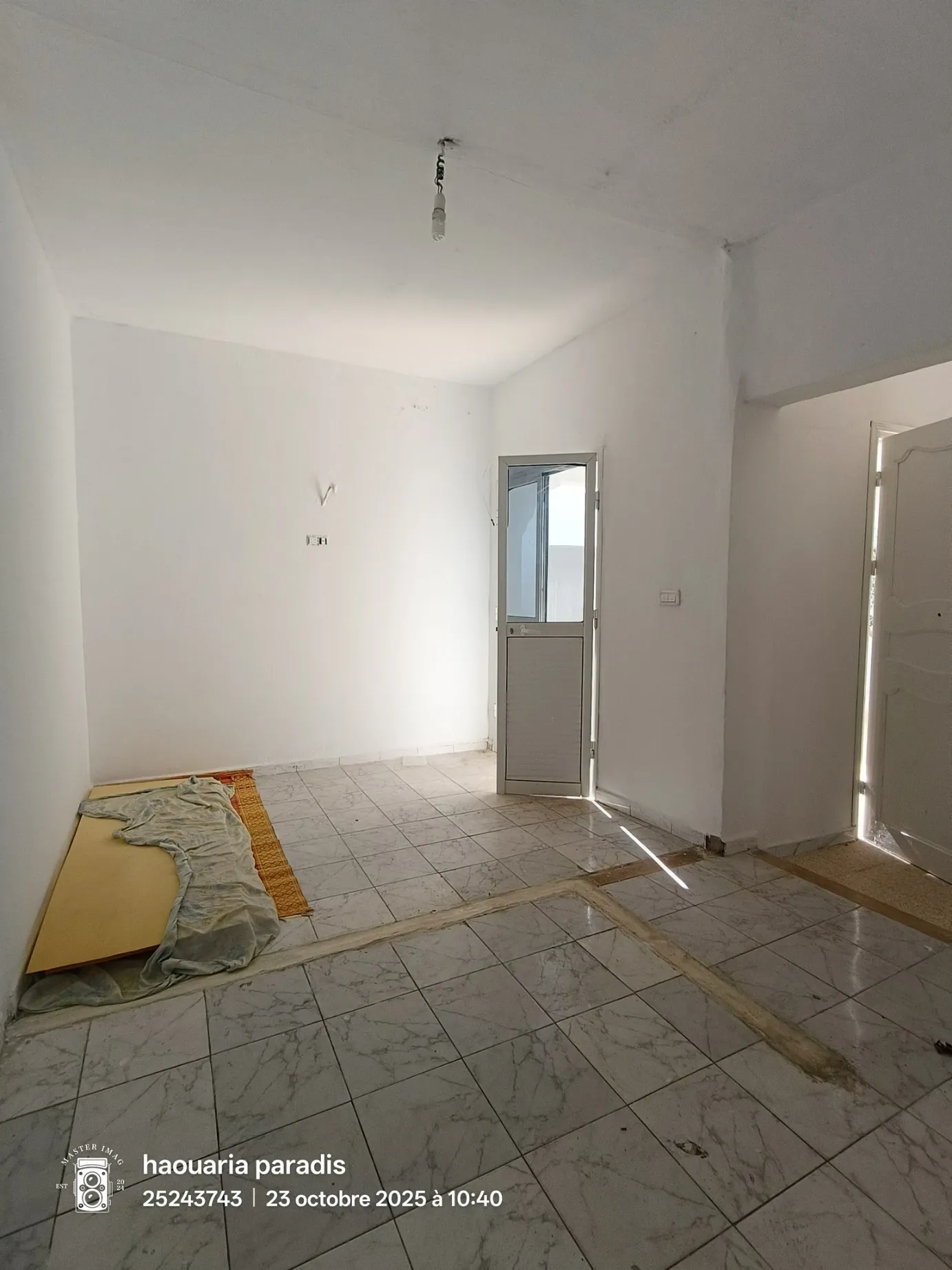 A vendre Deux maisons a elhaouaria centre ville 