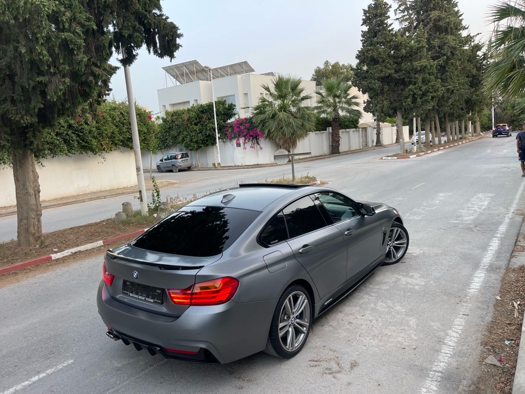 Bmw Serie 420i Gran-coupĂ©  ///M PERFORMANCE LIMITED EDITION đ