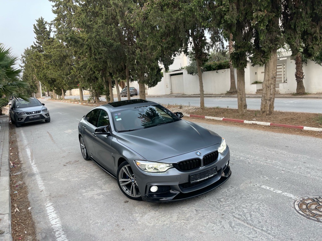 Bmw Serie 420i Gran-coupĂ©  ///M PERFORMANCE LIMITED EDITION đ