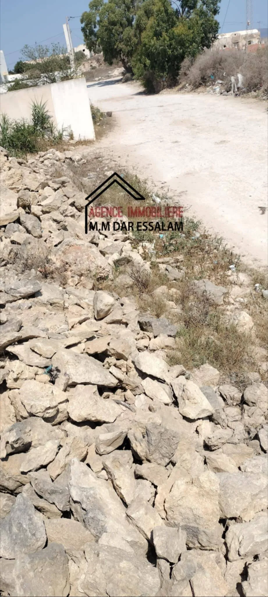terrain près de la mer