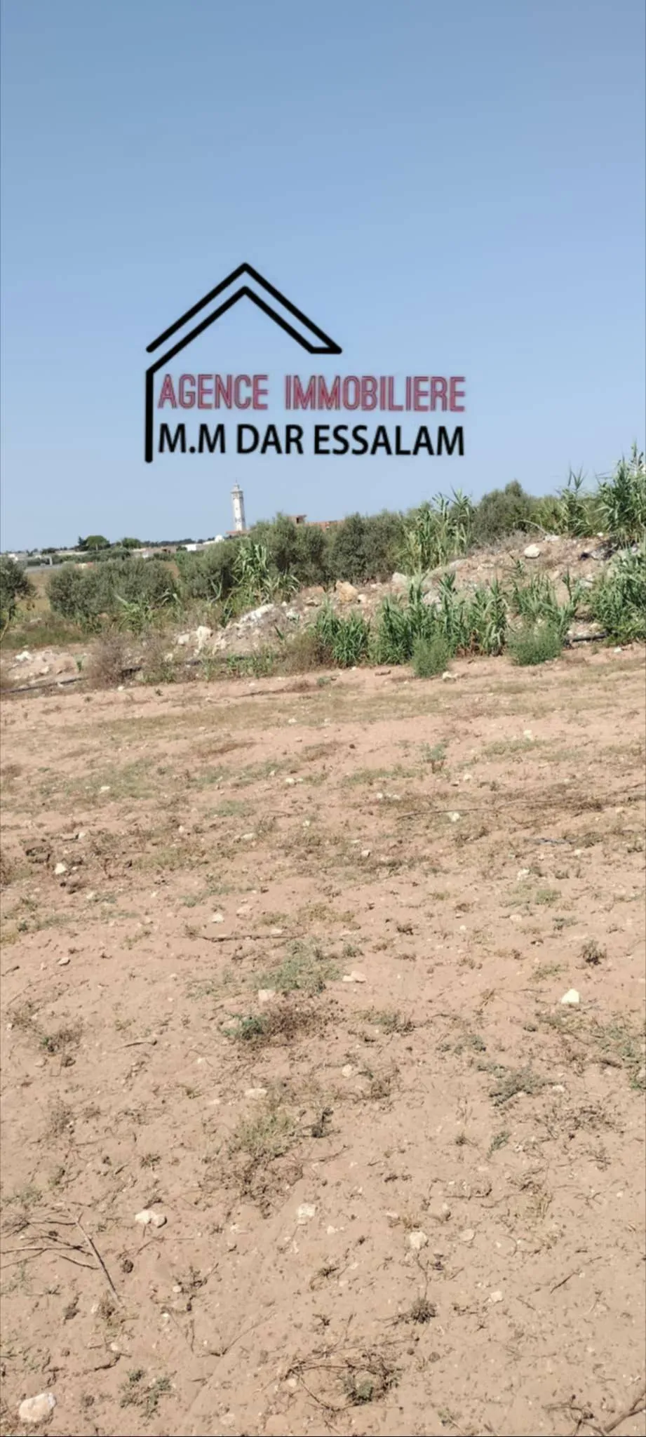 terrain près de la mer