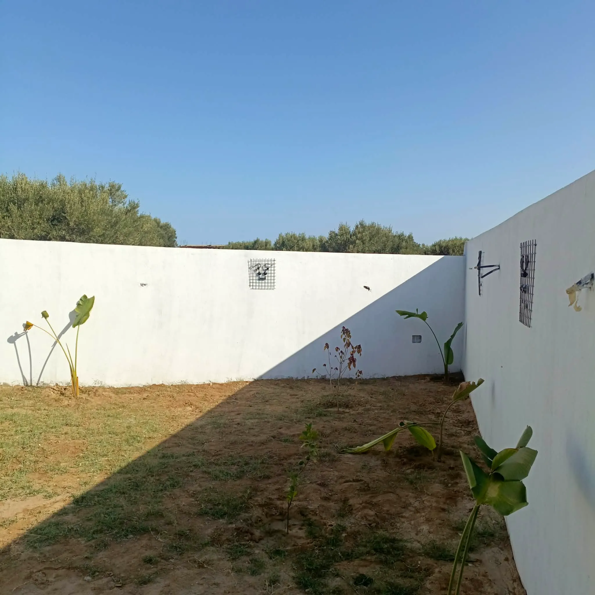 AV belle villa de 300m à hamammet sud 99202001
