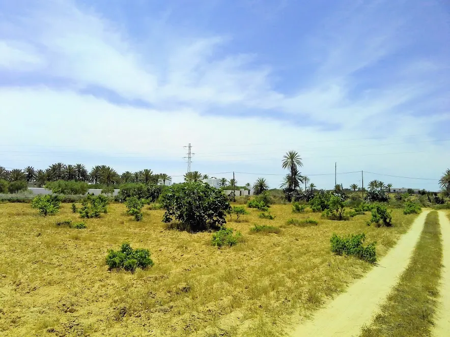 A vendre un magnifique terrain a sedghiane djerba 2660 m carré