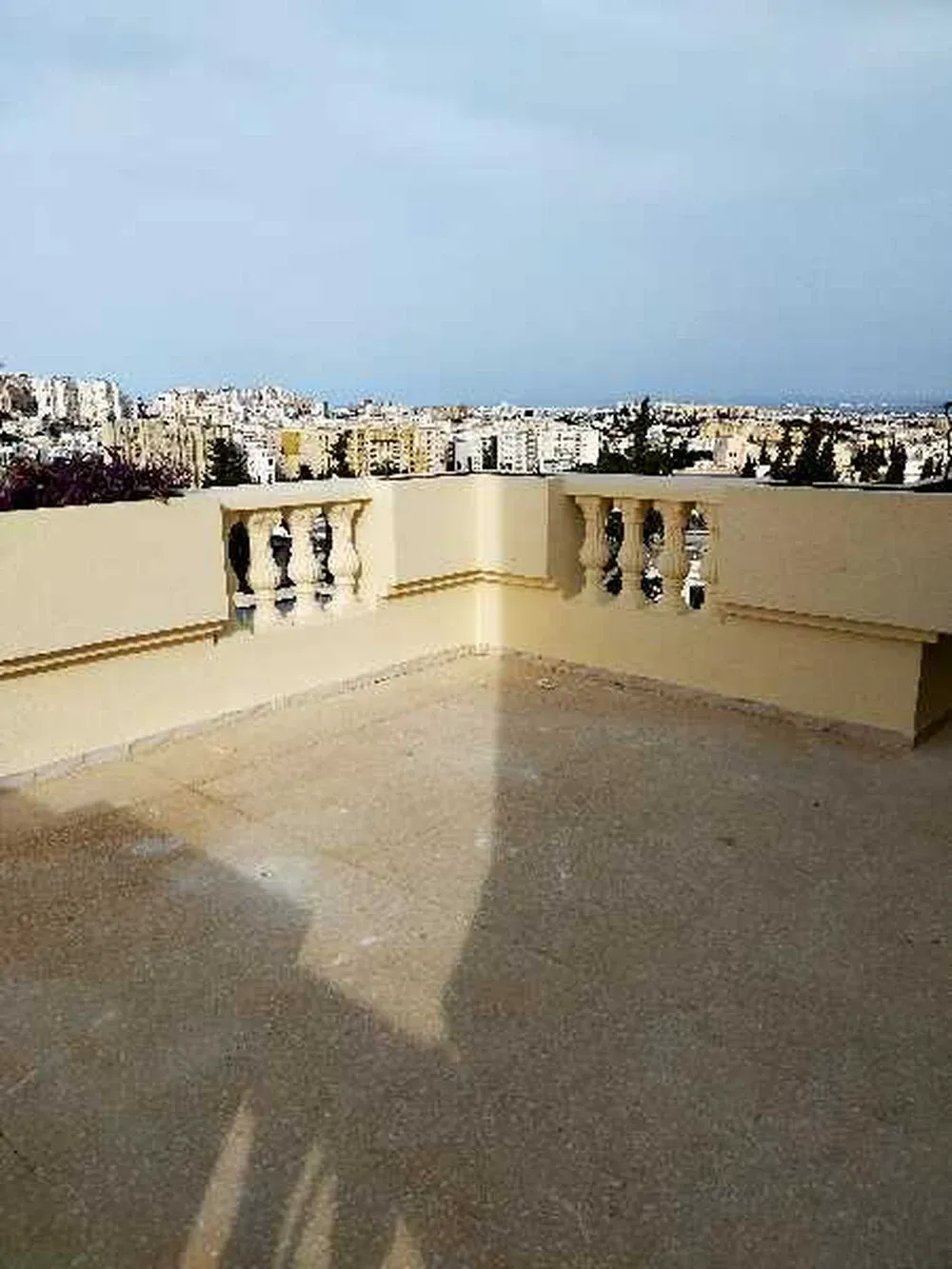  une villa sur 3 niveaux a vendre situé a manzah 9b prés prés  de marché et clinique l'espoir