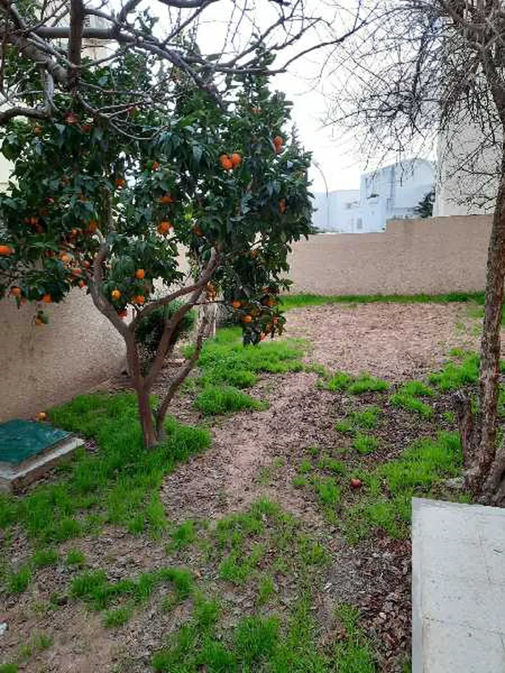  une villa sur 3 niveaux a vendre situé a manzah 9b prés prés  de marché et clinique l'espoir