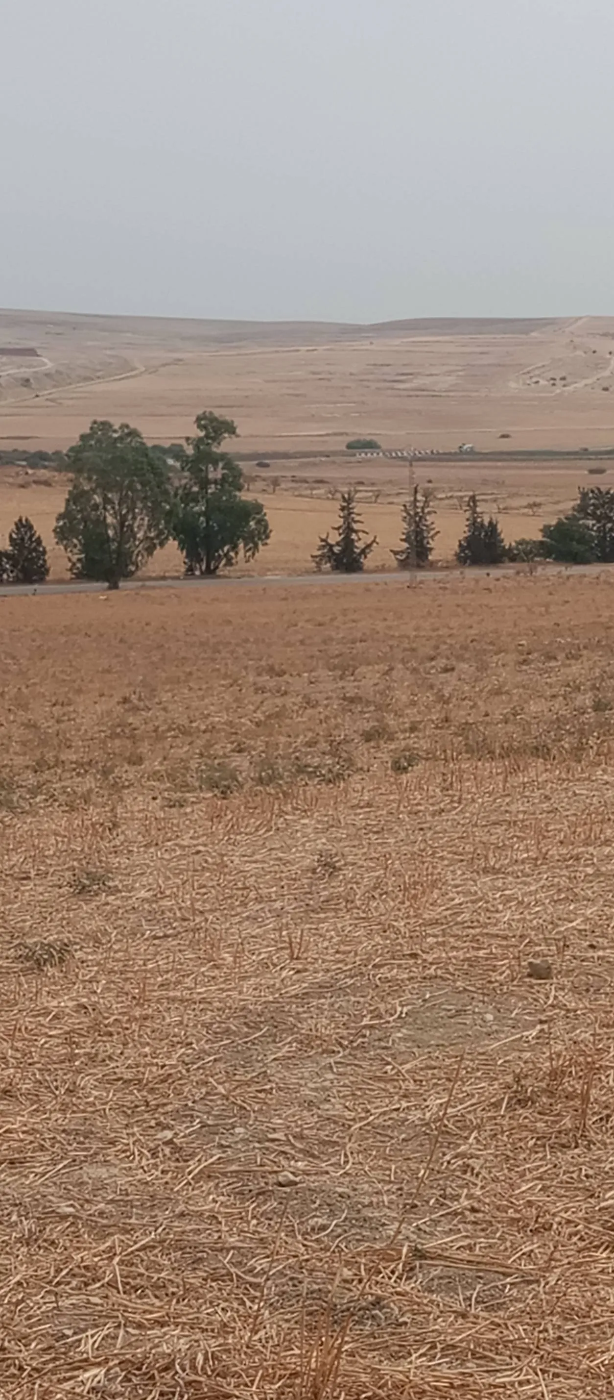 10 ha terre fertile