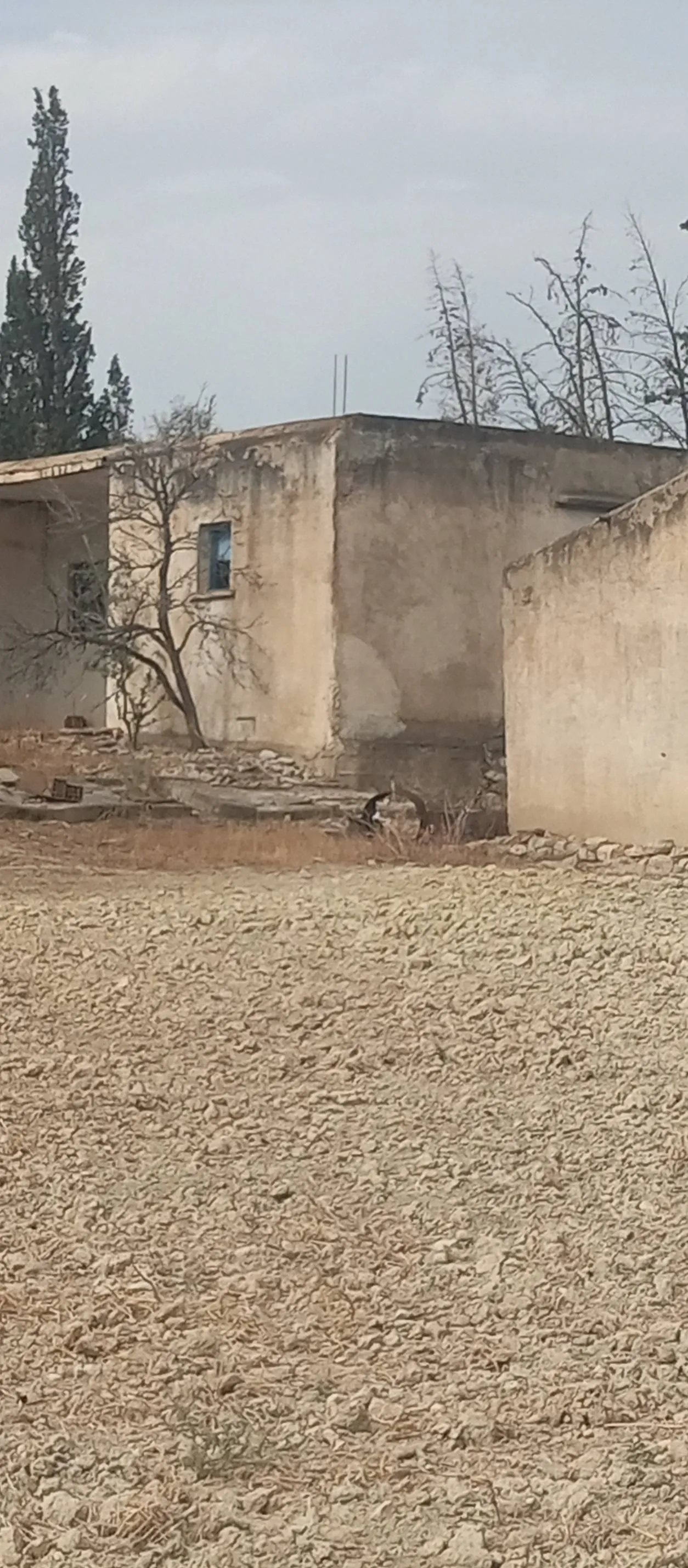 10 ha terre fertile
