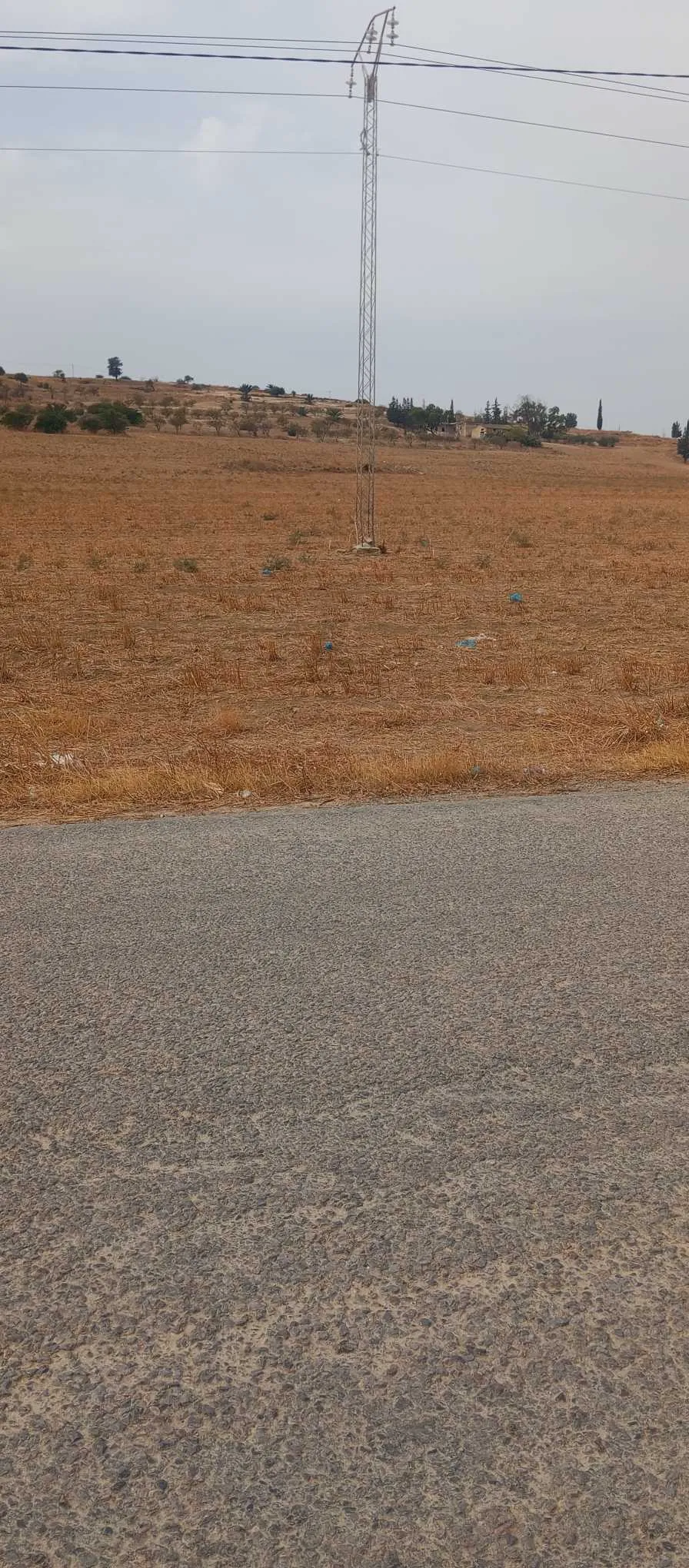 10 ha terre fertile