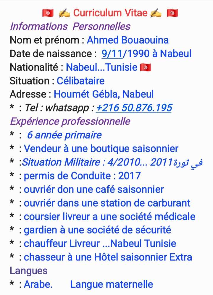 Cherche un travaille 