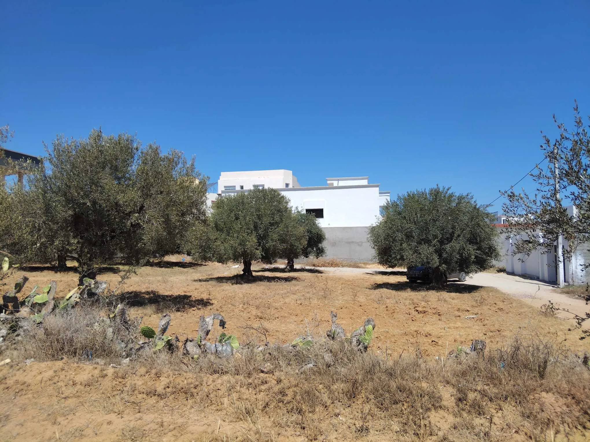 Un très beau lot à vendre