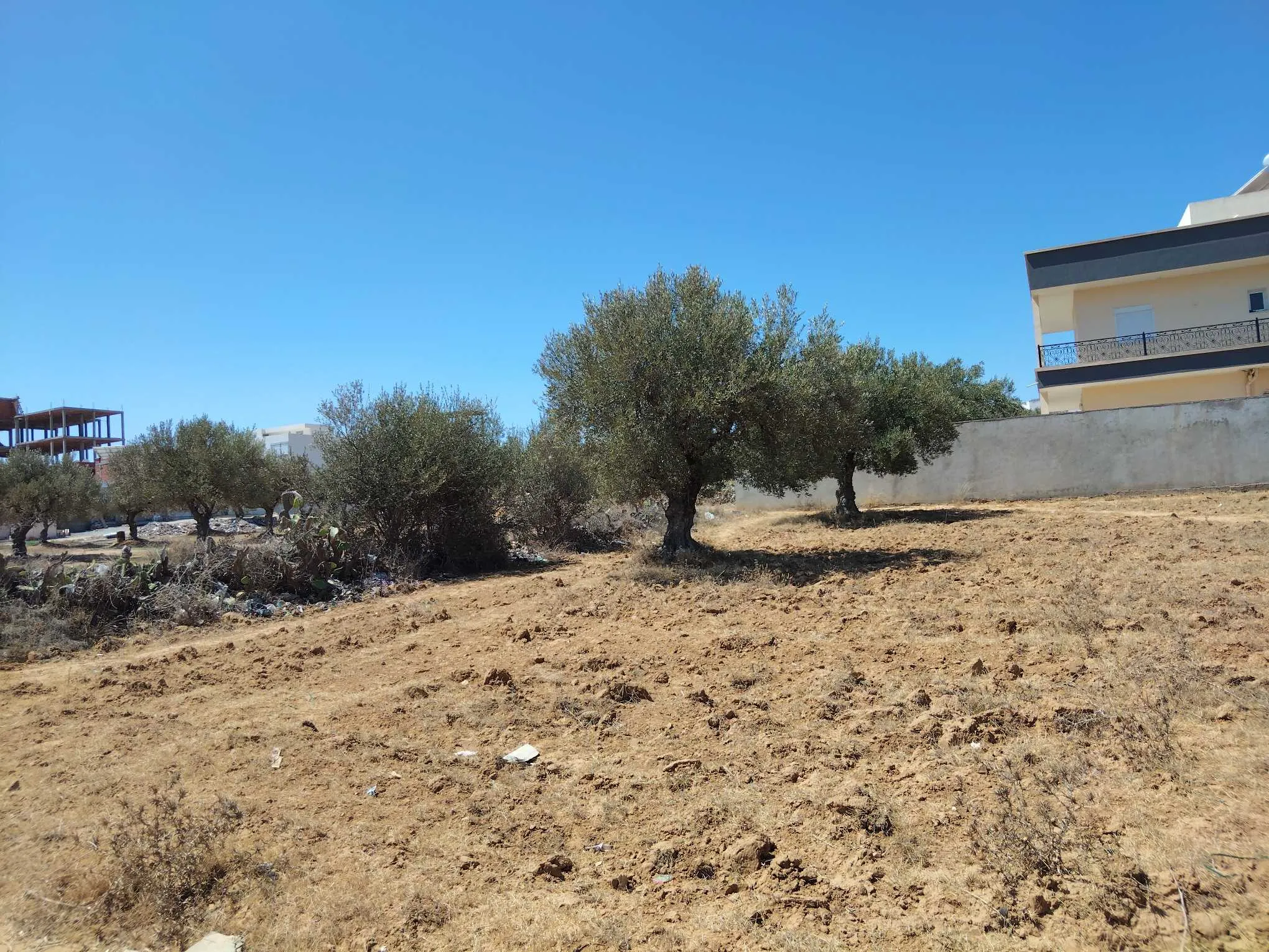 Un très beau lot à vendre